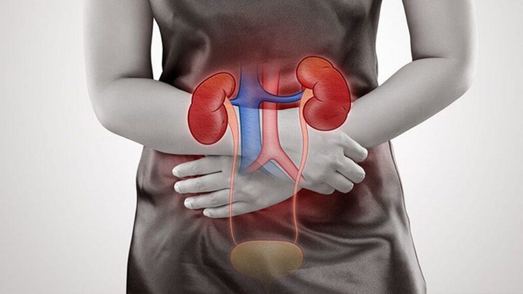 Understanding Acute Kidney Diseases: A Comprehensive Guide
